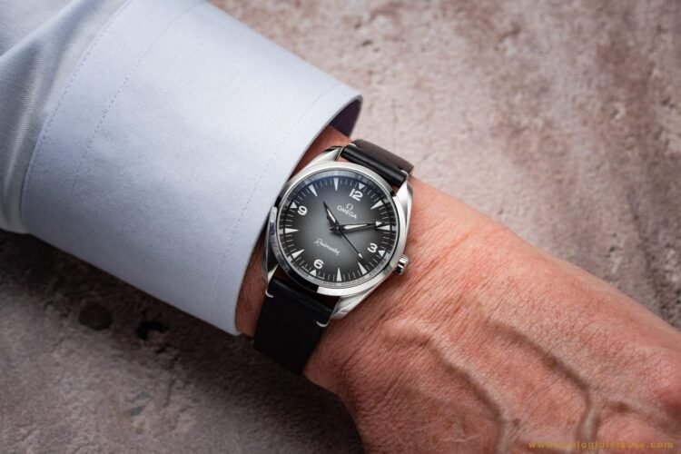 Omega Railmaster 2025 indossato al polso: modello con quadrante grigio e cinturino in pelle nera, che mostra vestibilità ed estetica.