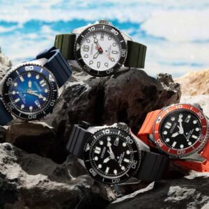 Citizen Promaster Diver Eco-Drive 200 m sulle rocce.